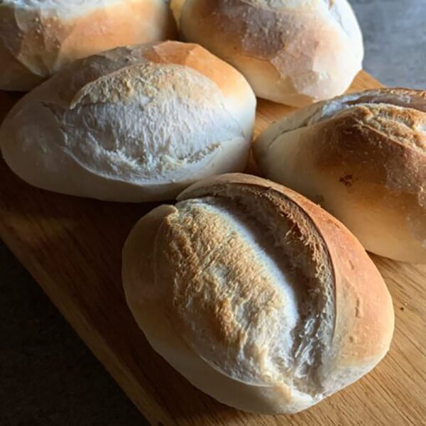 PETIT BLANCO PANNET x 7 kg